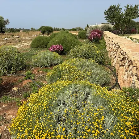 Ficomoro Farm San Pietro in Bevagna Exterior photo
