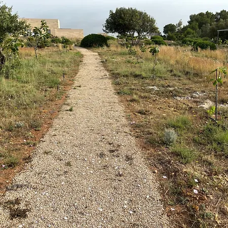 Ficomoro Farm San Pietro in Bevagna Exterior photo