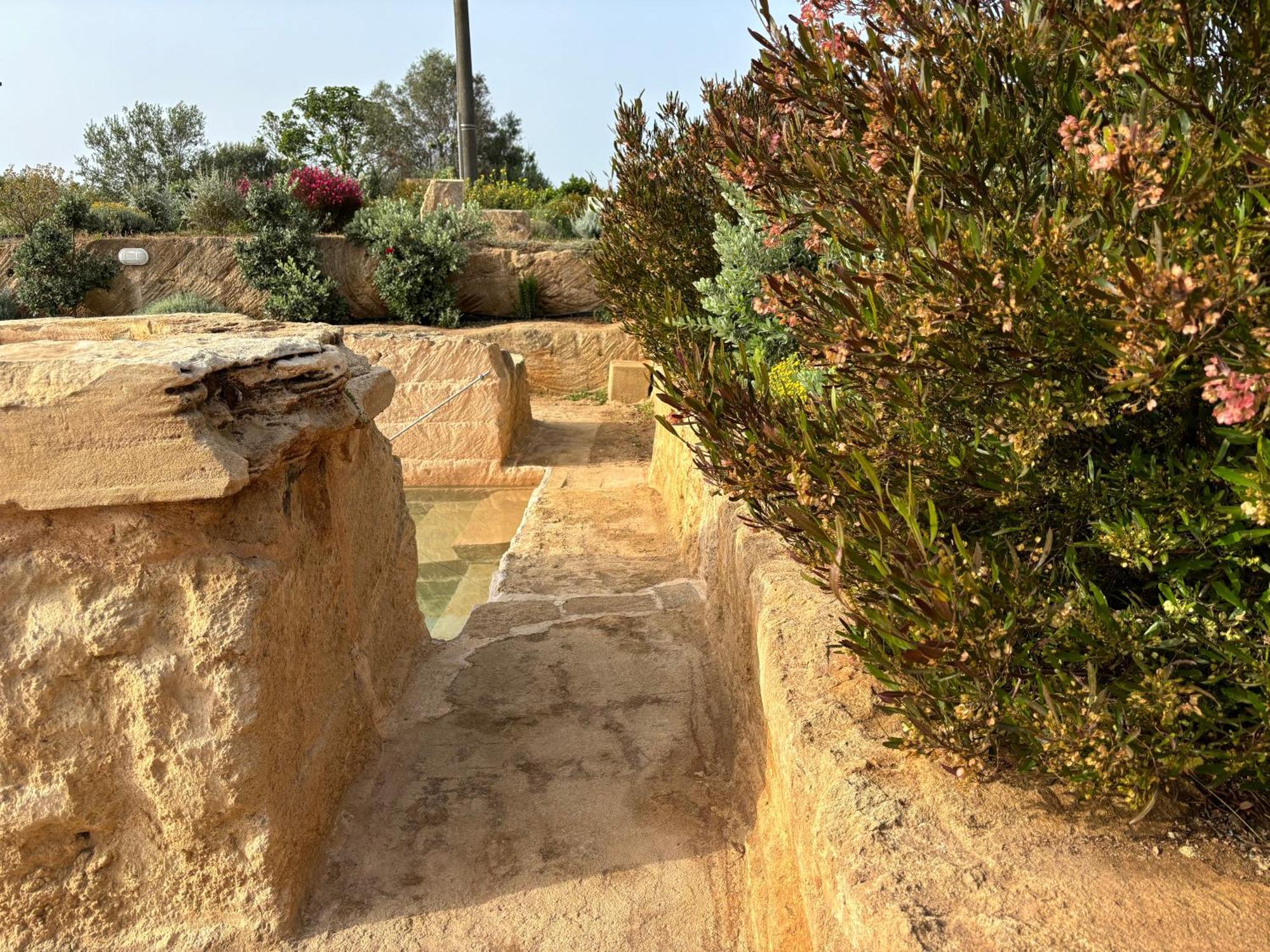Holiday home Ficomoro Farm San Pietro in Bevagna