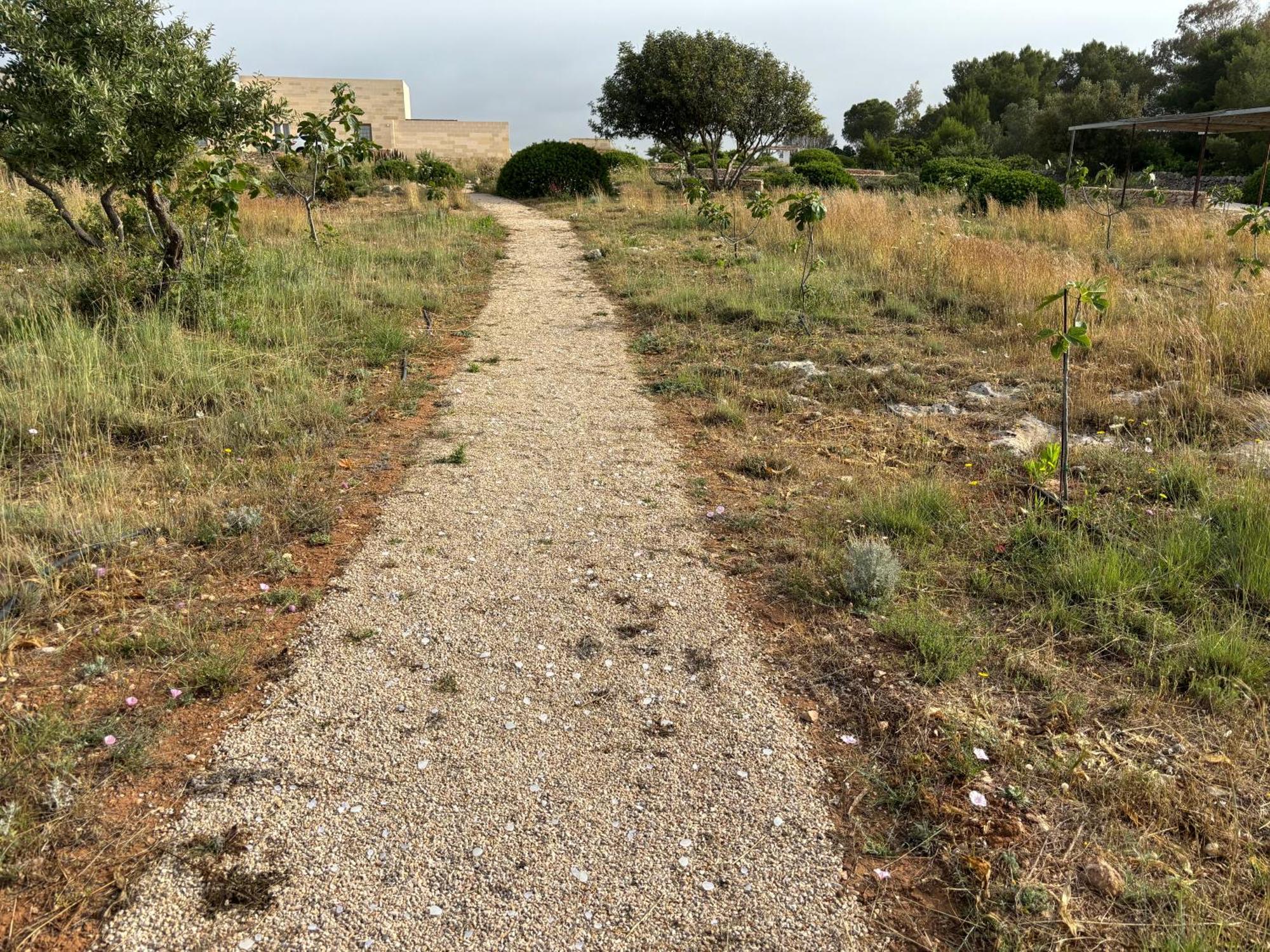 Ficomoro Farm Holiday home